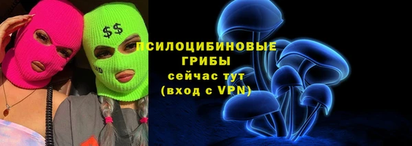 дмт Армянск