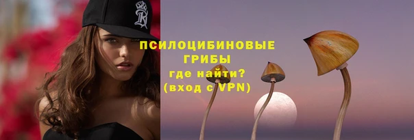 прущая мука Арсеньев