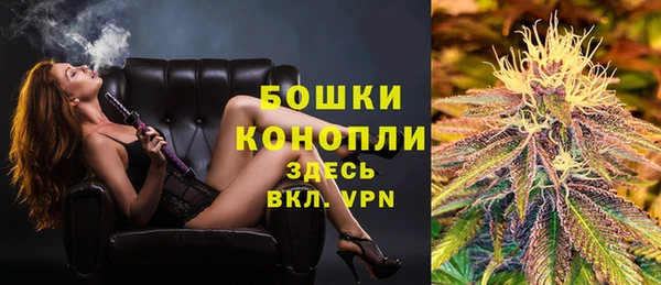 ПСИЛОЦИБИНОВЫЕ ГРИБЫ Аркадак