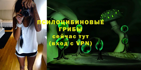 дмт Армянск